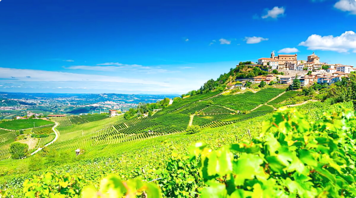 Le migliori offerte di noleggio auto a Barbaresco